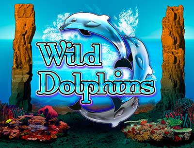 Wild Dolphins