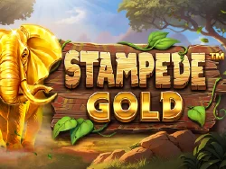 Stampede Gold