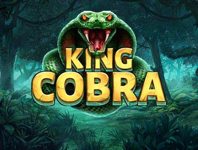 King Cobra